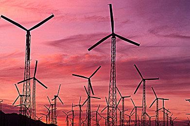 《奥力奥力世界》最终DLC 11月2日推出